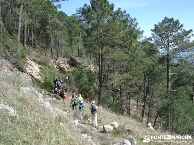 Cascadas de Gavilanes - Pedro Bernardo;a tu aire cascadas taxus baccata el castañar del tiemblo